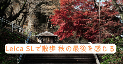 Leica 散歩