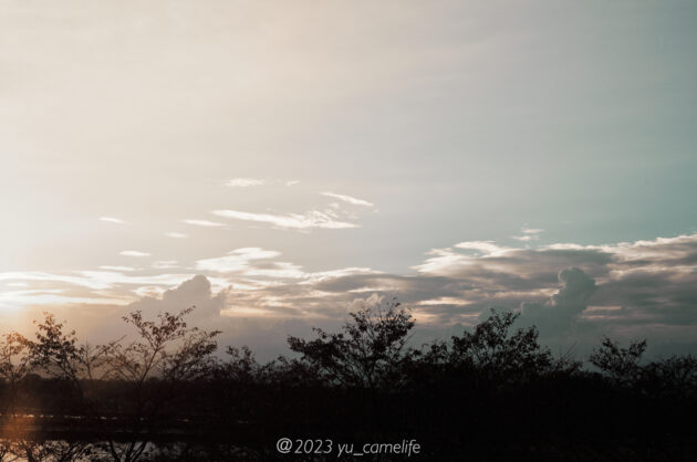 Leica M11 散歩