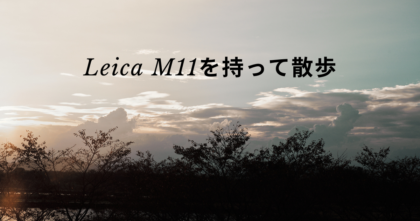 LeicaM11散歩