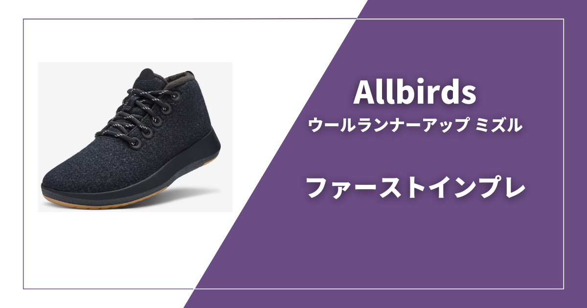 初めてのAllbirdsウールランナーアップ ミズル！3年間待ち望んだその 